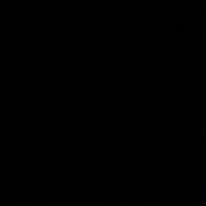 Meet your Posher, Jazzy